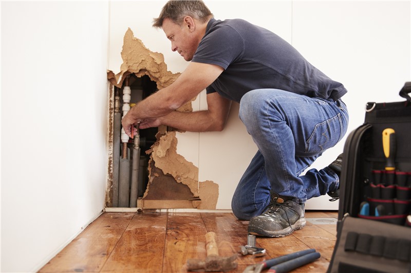 Beyond the Leak: A Complete Look at Water Damage Removal