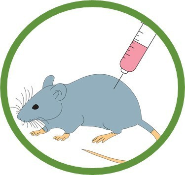 The Science Behind Your Plate: A Deep Dive into Food Testing Kits and Functional Food Ingredients