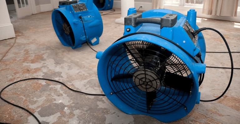 Mold Problems? Call Our Remediation and Removal Pros Today!