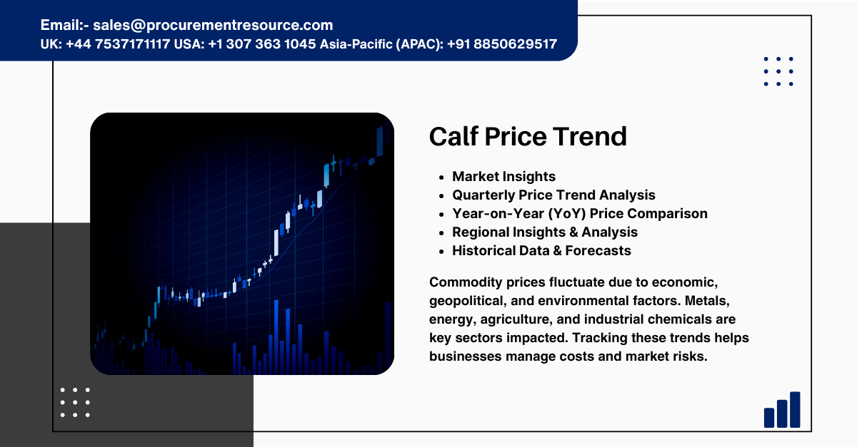 Calf Price Trend: Market Insights, Forecasts, and Historical Analysis