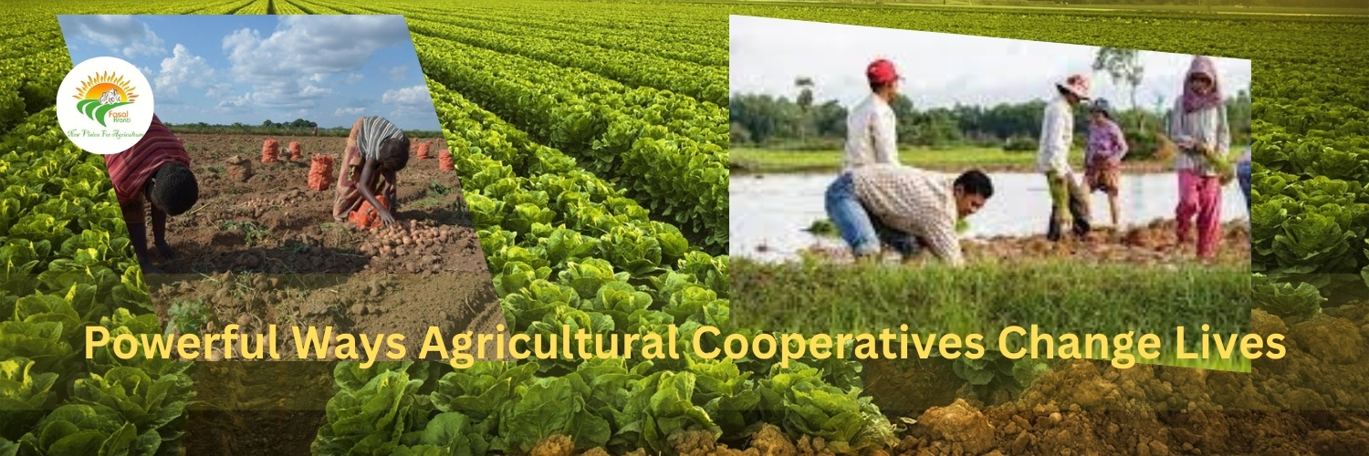7 Powerful Ways Agricultural Cooperatives Change Lives