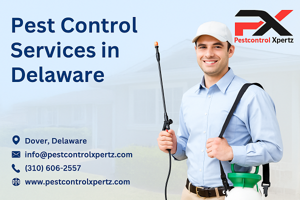 Glasgow Pest Control Services You Can Rely On