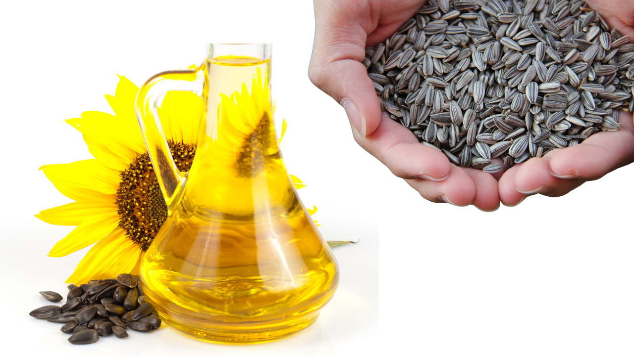 Can You Eat Sunflower Seed Shells? The Truth About This Common Snack Habit
