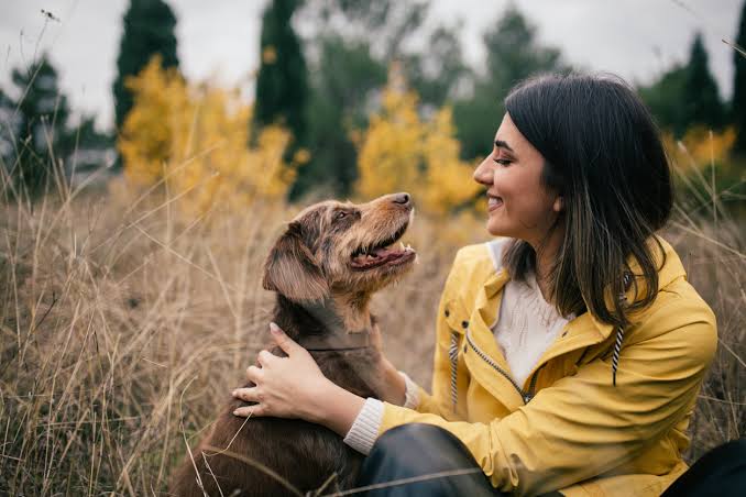 How Art and Culture are Celebrating the Bond Between Humans and Dogs