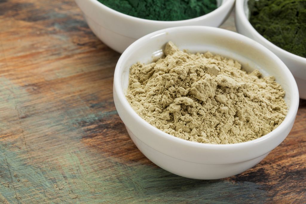 Kelp Powder Manufacturing Plant Cost - Detailed Project Report, Setup Details, and Manufacturing Process