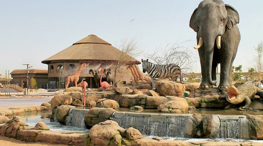 Wondering What to Do in Dubai? Explore Dubai Safari Park and Evening Desert Safari Tours!
