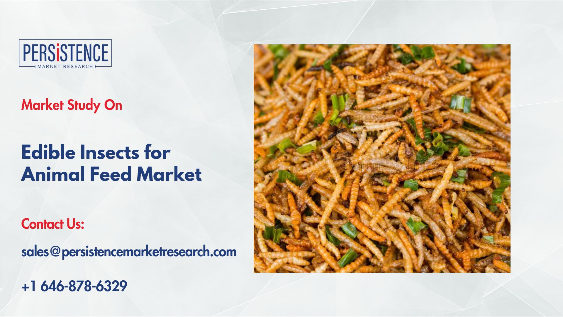 Edible Insects for Animal Feed Market Faces Regulation Challenges but Finds Growth