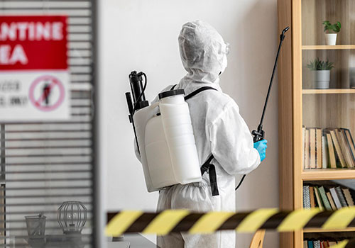 Top Pest Control Solutions in Beith for Homes & Businesses