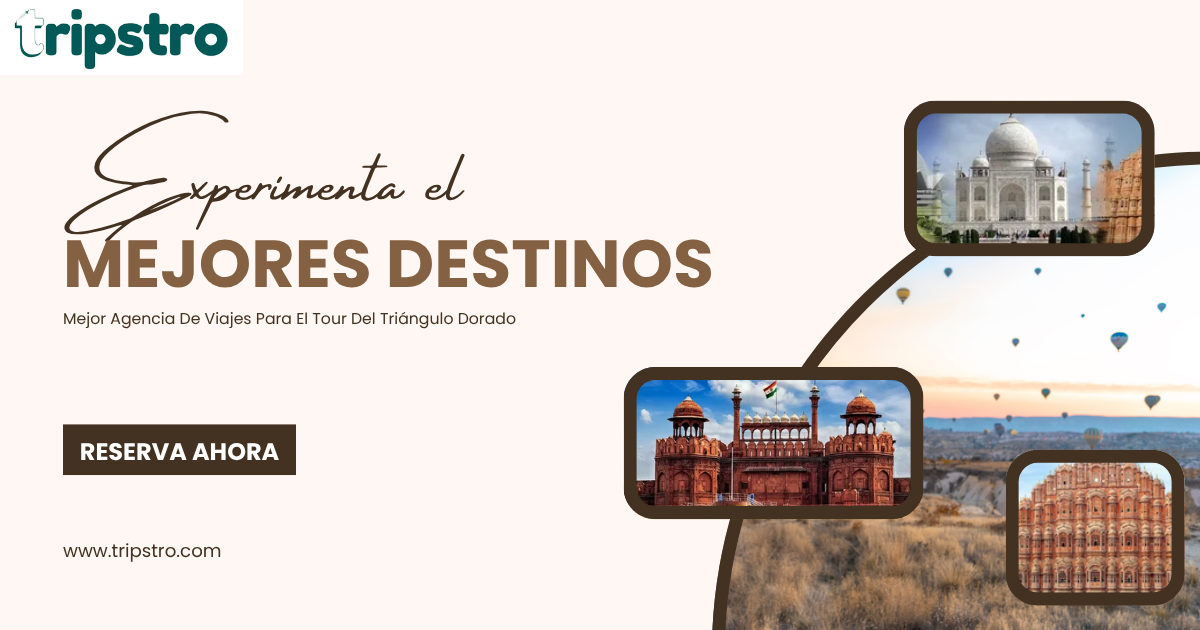 Best Travel Agency for the Golden Triangle Tour