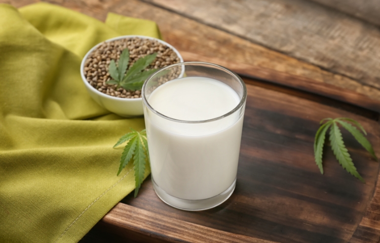 Hemp Milk Market: Rising Demand in Dairy-Free Wellness Trends