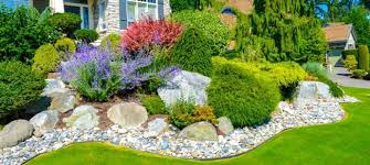 Beyond the Lawn: How Smart Landscaping Can Turn Your Yard into a Low-Maintenance Paradise