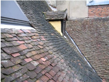 What Happens If You Never Clean Your Roof? (It’s Worse Than You Think)