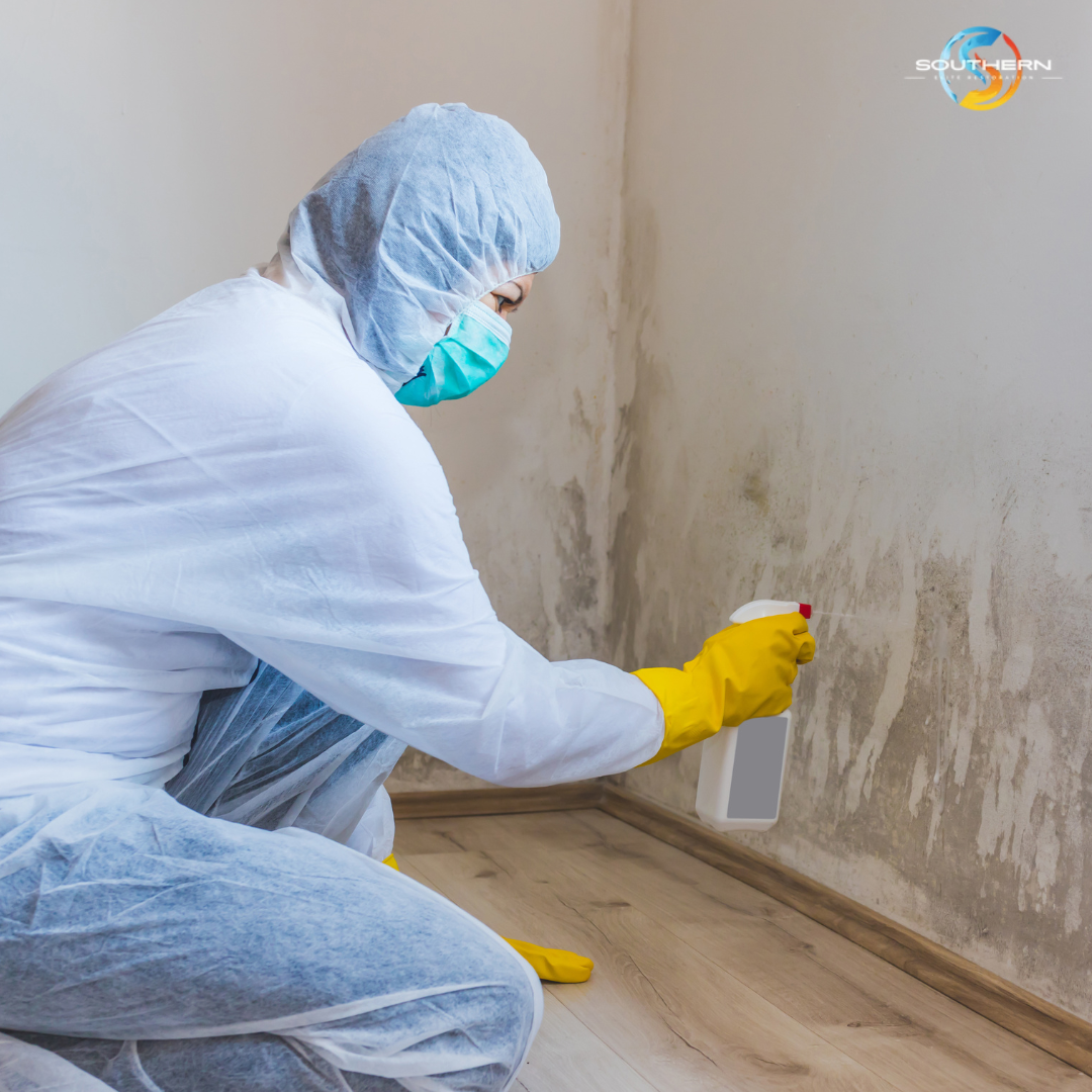 Professional Mold Removal & Remediation in Georgia