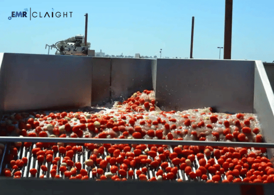 Tomato Processing Market Size & Share | Trends - 2034