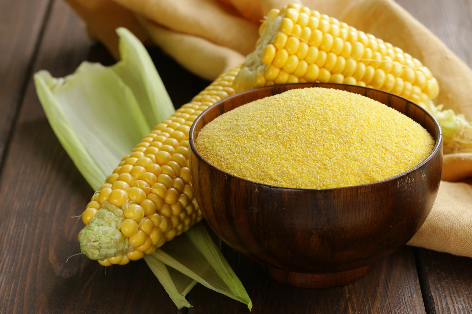 Corn Gluten Meal Manufacturing Plant Business Plan 2025: Setup Cost and Capital Investment