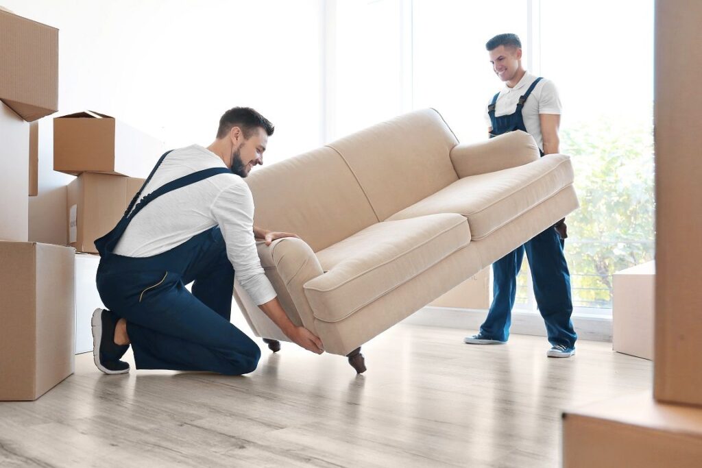 Your Guide to the Best Removal Companies in Brisbane