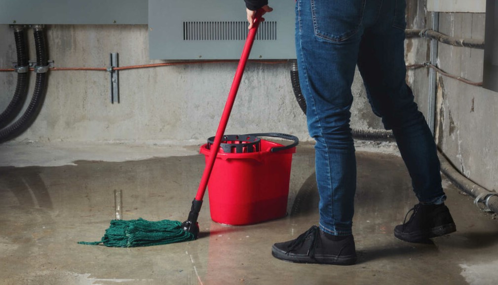 Flood? Leak? Washington’s Water Removal Team Is On the Way!