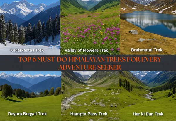 Top 6 Must-Do Himalayan Treks for Every Adventure Seeker