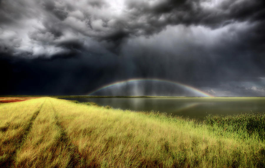 Finding Courage in the Rumble: When Thunder Brings Strength