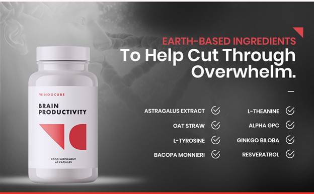 NooCube Review: Why It Remains the Top Choice for Cognitive Enhancement