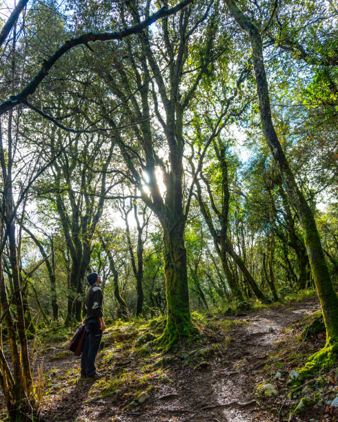 Adventure in Lithuania: Forest Treks, Sand Dunes & Kayaking Fun