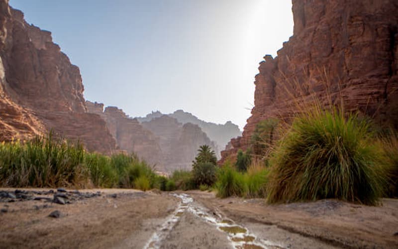 Best Mountain Getaways in Saudi Arabia for Nature Enthusiasts