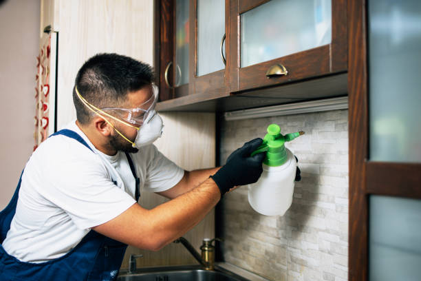 Pest Control Myths Debunked: What Really Works