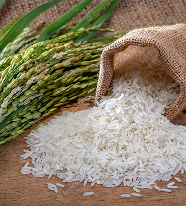Top Qualities That Make SKRM a Leading Basmati Rice Exporter in India