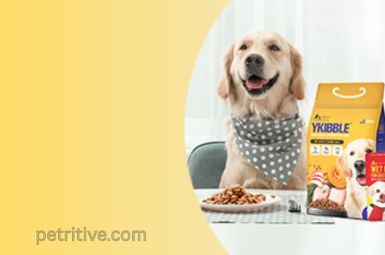 What Makes the Best Online Dog Food Worth It?