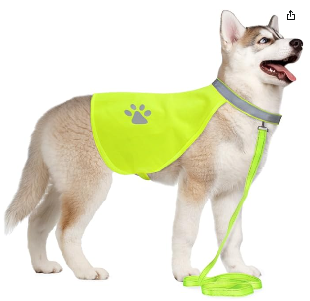 4 Pet Safety Guides Review – Must-Have eBooks for Emergency, Travel & Senior Pet Wellness