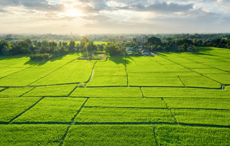 Land for Sale in Bangalore: Key Things You Should Know Before You Buy