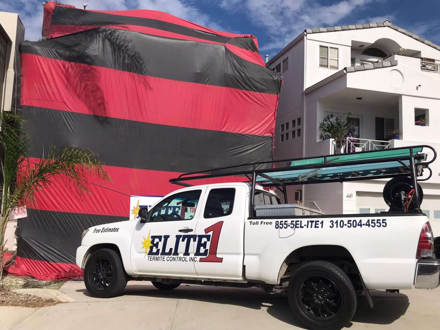 How To Protect Your Home From Termites Year-Round