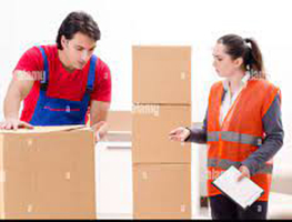 Movers and Packers in the USA: Why Move Guru Is Your Trusted Relocation Partner