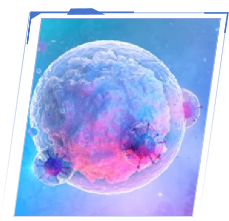Alfa Cytology Announces Holistic Approach to RDC Development Services Supported by In Vivo Studies in Radiopharmaceuticals