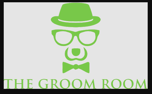 Pet Taxi Abu Dhabi: Convenient Transport for Vet Visits & More