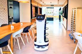 The Arrival of Food Delivery Robot in Canada