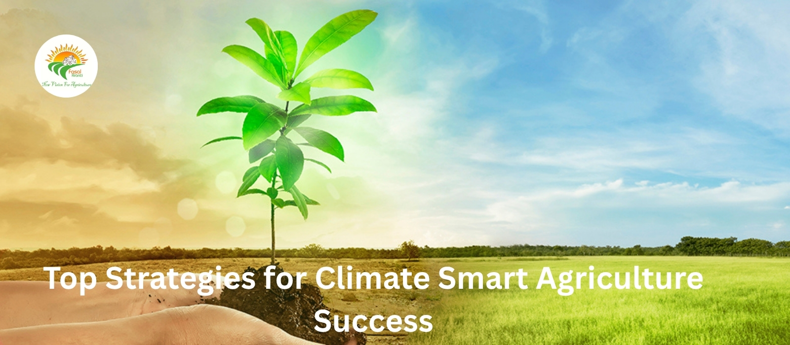 Top Strategies for Climate Smart Agriculture Success