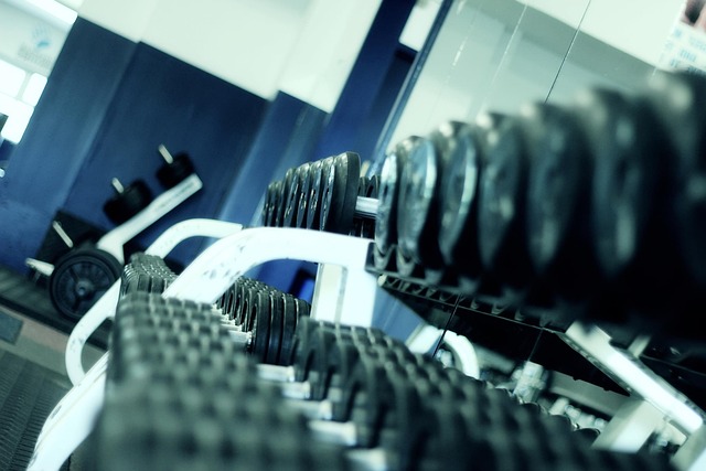 Beyond the Gym: The Holistic Health Benefits of Organic Protein Powders