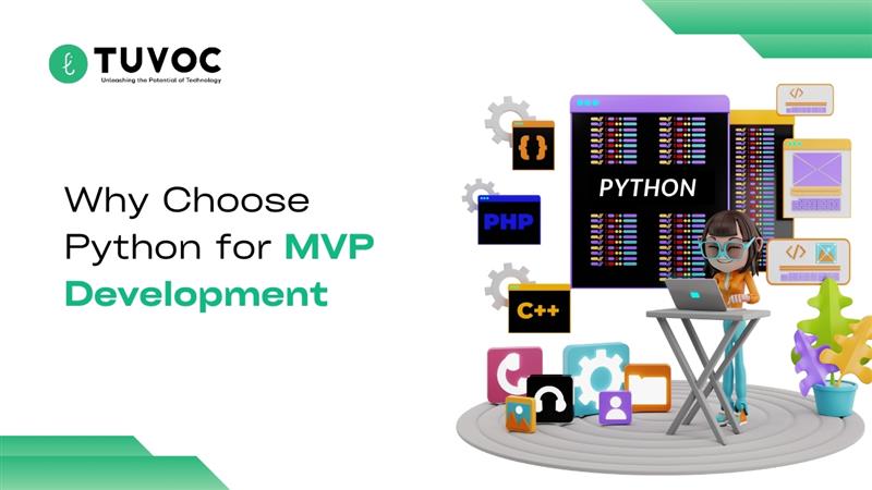 Why Startups Should Choose Python for MVP Development