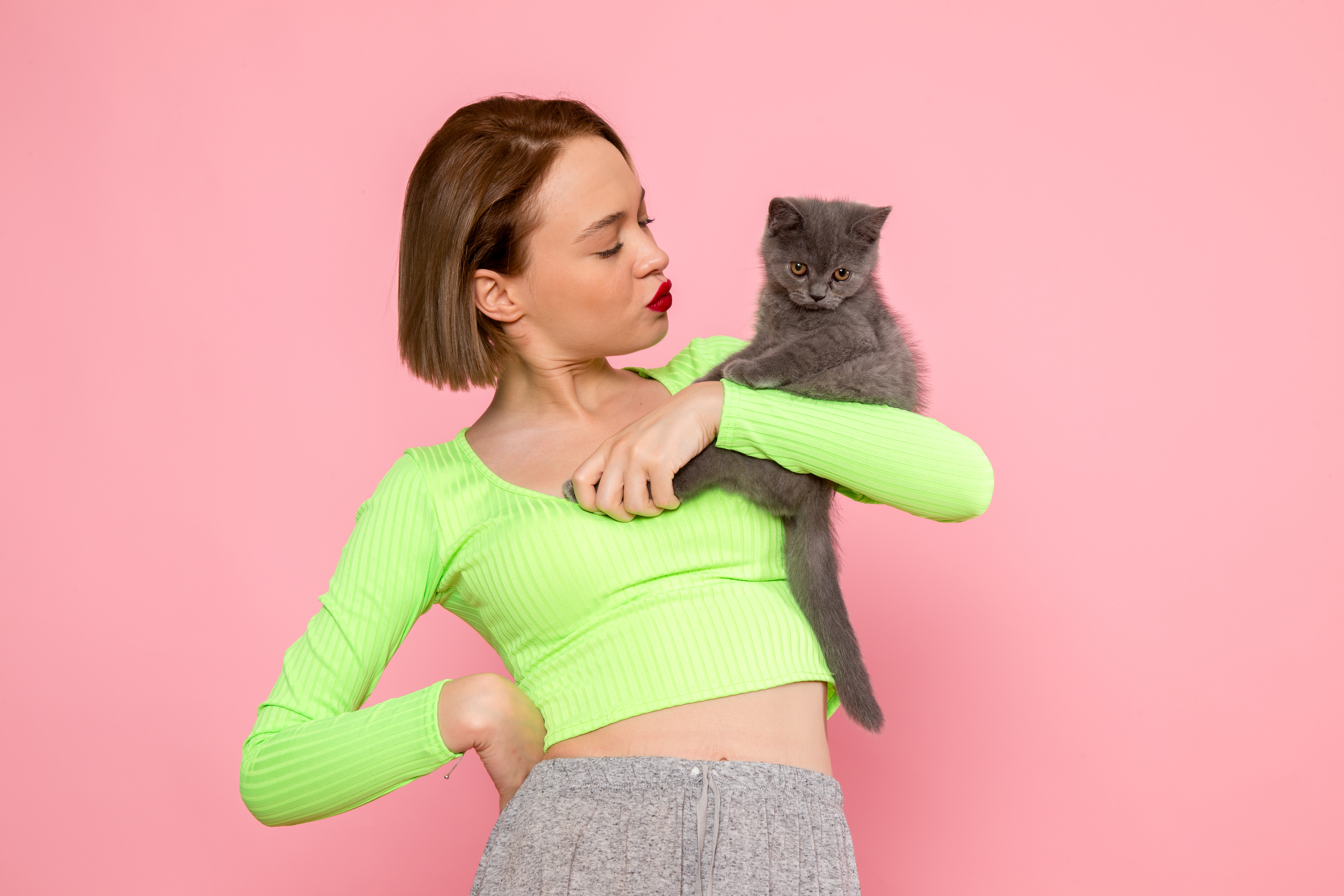 Why Are My Cat's Nipples Popping Out? A Complete Guide for Concerned Pet Owners
