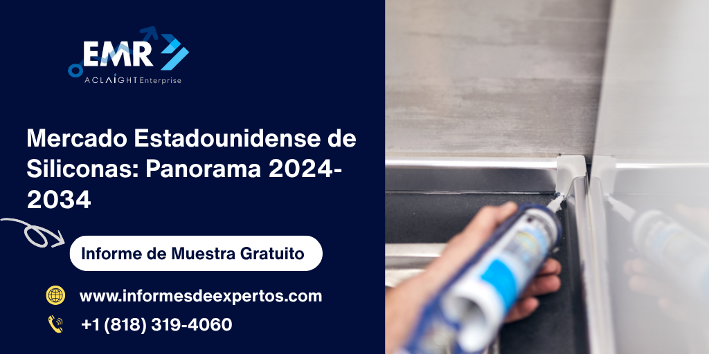 Mercado Estadounidense de Siliconas: Panorama 2024-2034