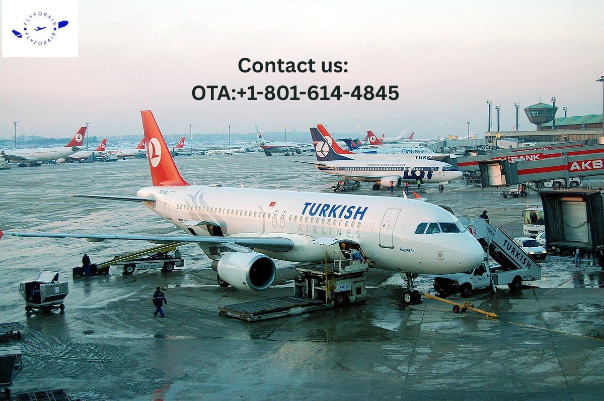 How do I speak to a human at Turkish Airlines?