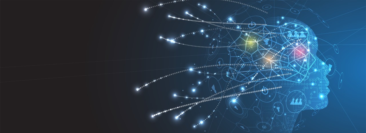 Custom Digital Solutions That Power Your Business Forward