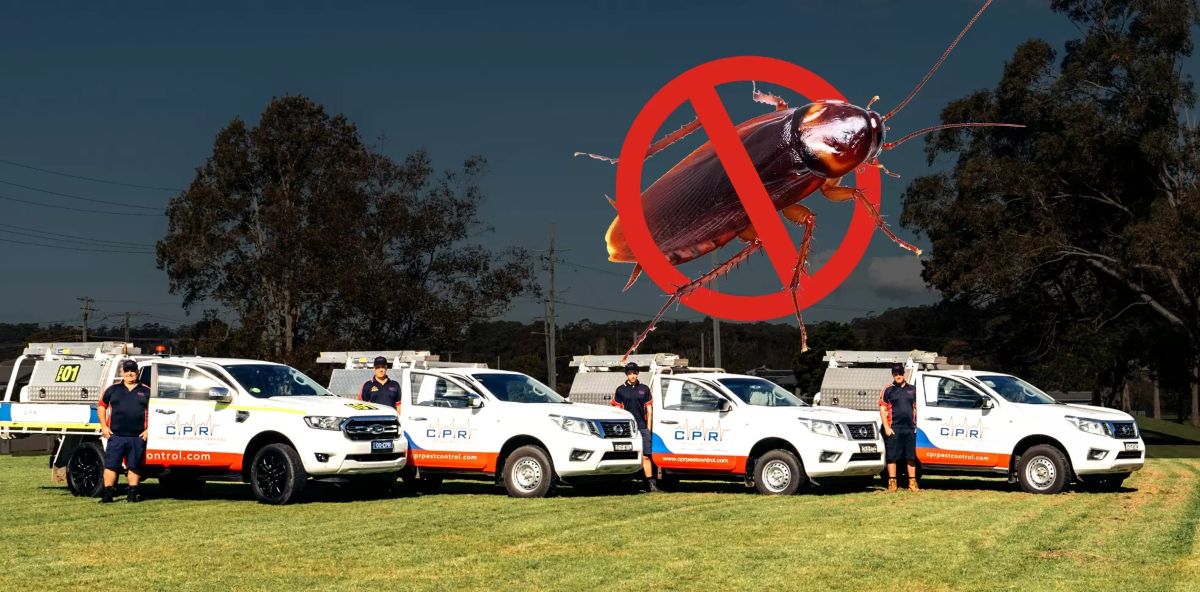 Emergency Rodent Control in Hunter Valley: When to Call the Experts