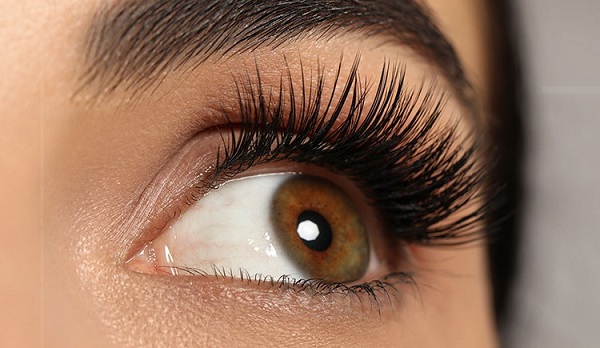 Why You Should Buy from Lash Suppliers Australia