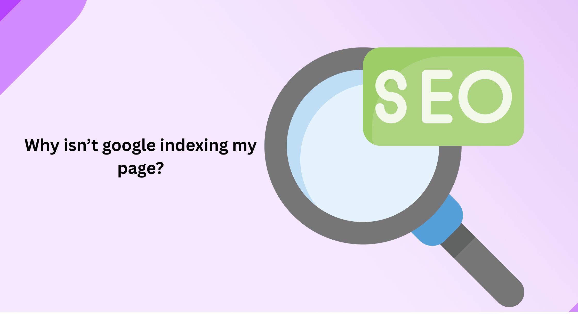 Why is Google not indexing website? Full Guide.