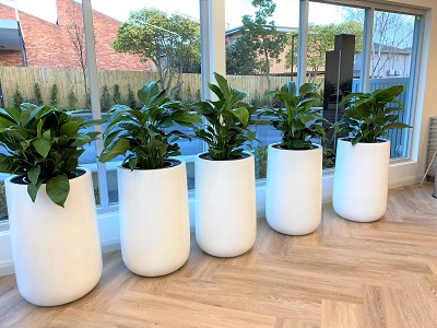 Top 10 Stylish Planters Melbourne Homeowners Are Loving Right Now