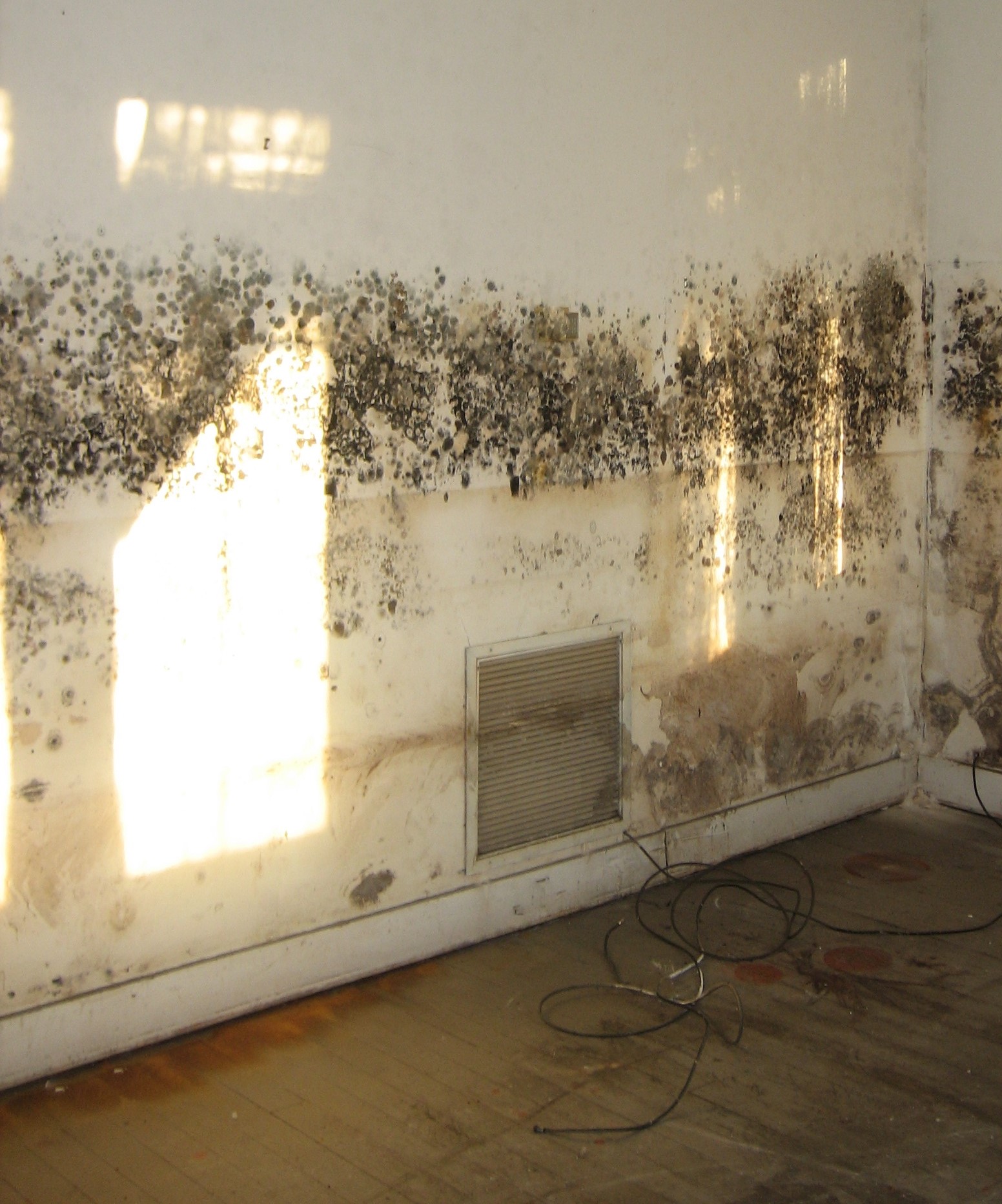 Tenant Compensation for Housing Disrepair in the UK: What You Need to Know