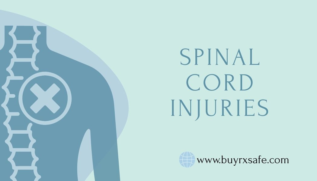Recovering from a Spinal Cord Injury: Key Steps