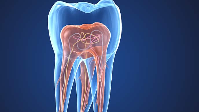 Step-by-Step Guide to Root Canal Treatment in Madhapur